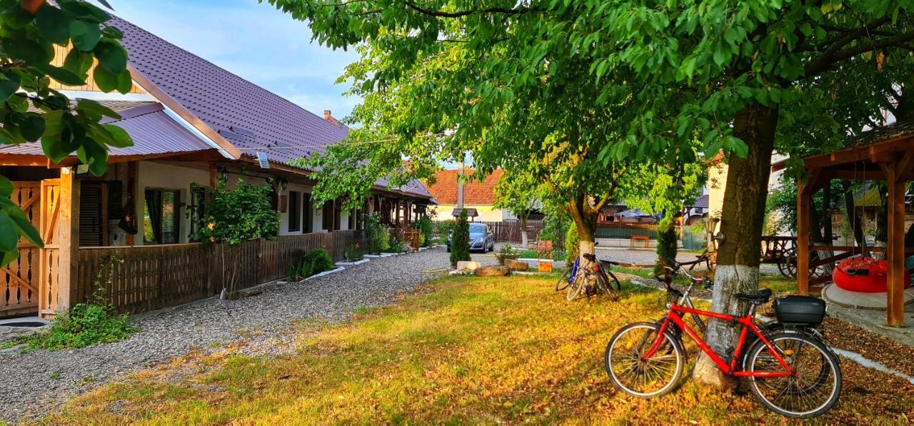 La Romaneasa Săpînţa Kültér fotó