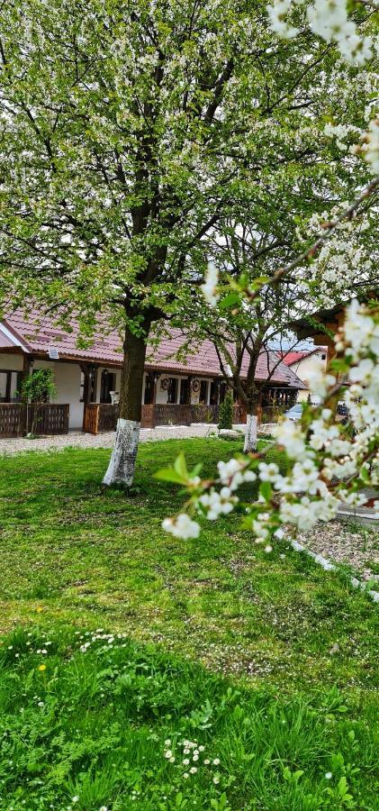 La Romaneasa Săpînţa Kültér fotó